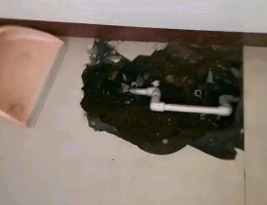 金华卫生间测漏水多少钱